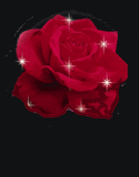 throse.gif rose image by boyz_020