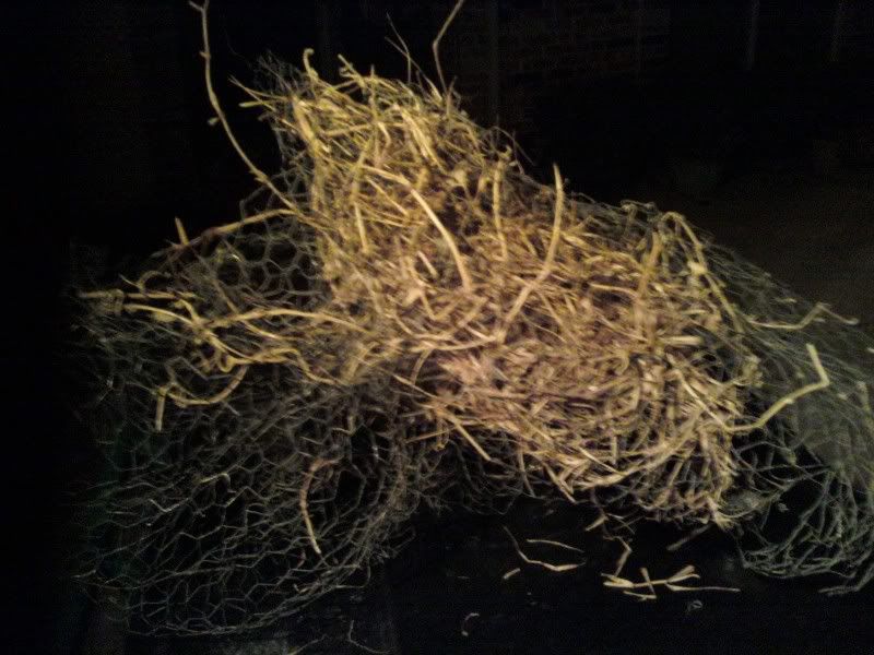 Not real tumbleweed