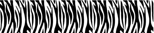 zebra print Pictures, Images and Photos