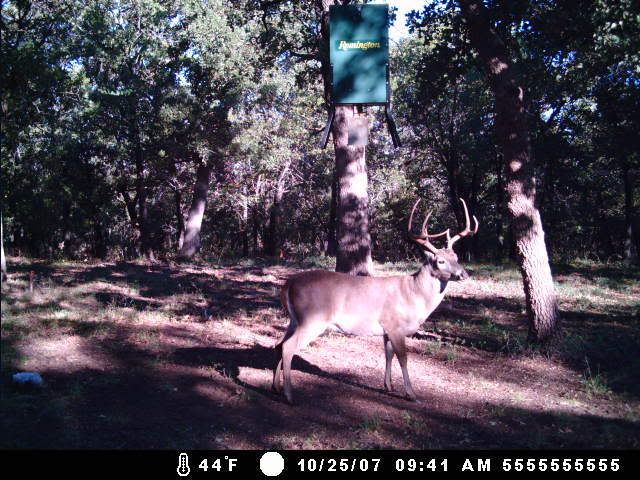 MDGC0073.jpg