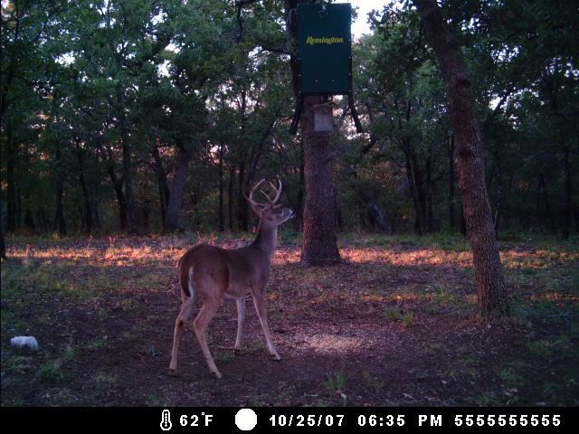 MDGC0076.jpg