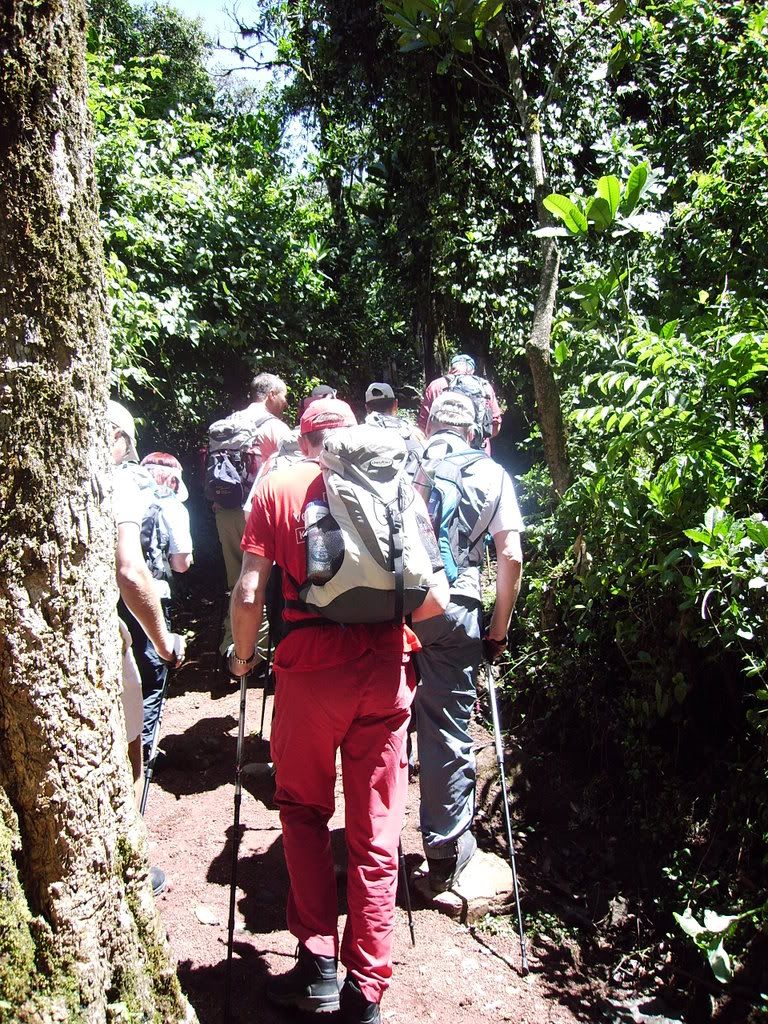 Kilimanjaro011.jpg