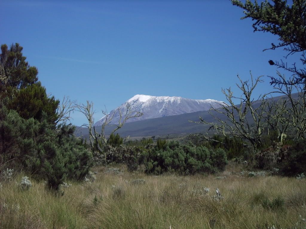 Kilimanjaro019.jpg