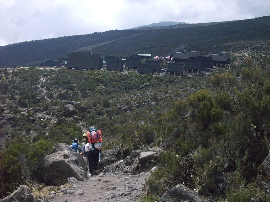 Kilimanjaro022.jpg