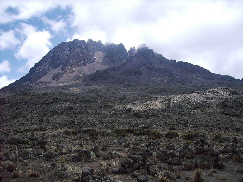 Kilimanjaro027.jpg