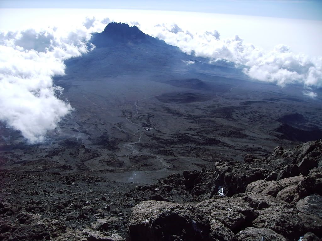 Kilimanjaro046.jpg