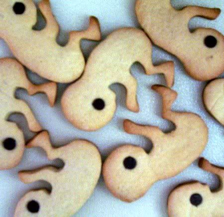 fetus cookies