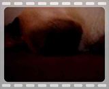 th_IMGP3402.jpg