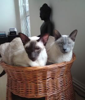 theboys.jpg