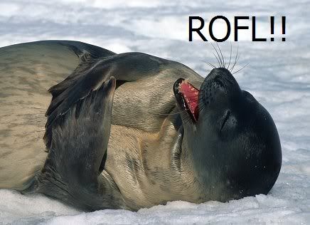 Rofl Seal