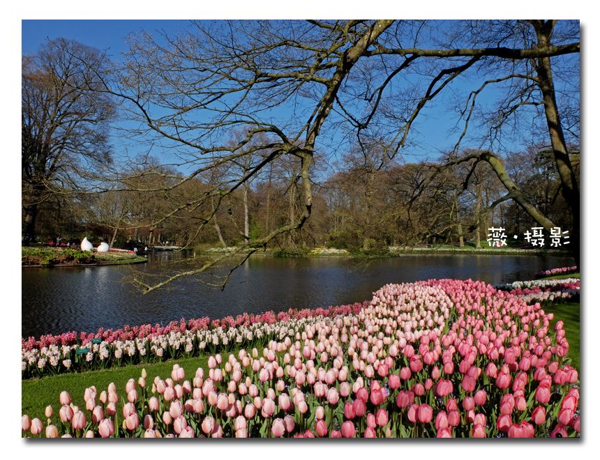  photo keukenhof04_zpsutgkqtu2.jpg