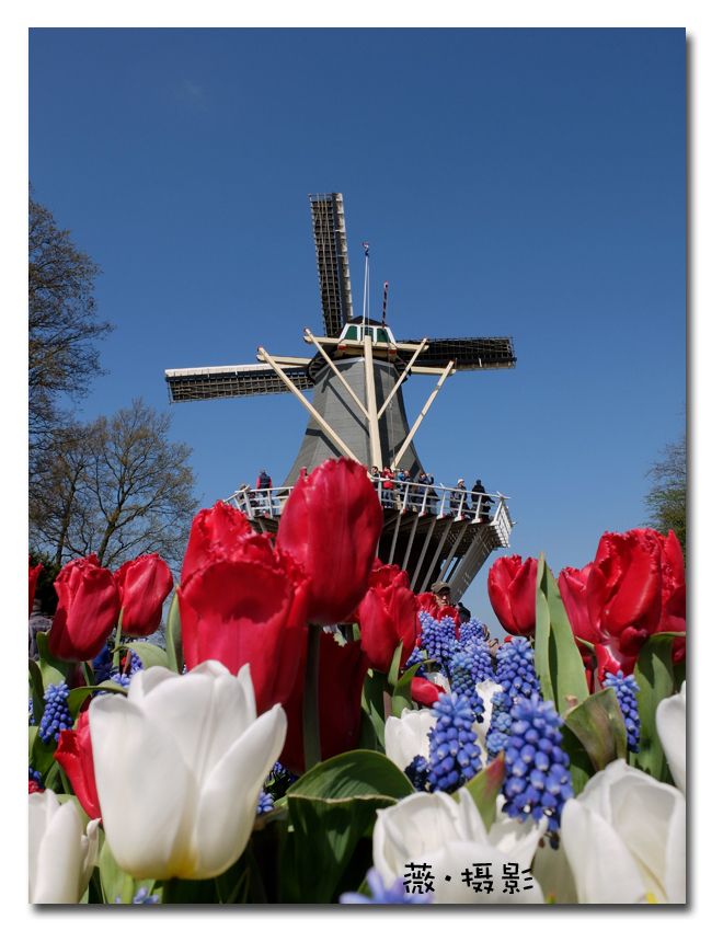  photo keukenhof15_zpscxwvlz2a.jpg