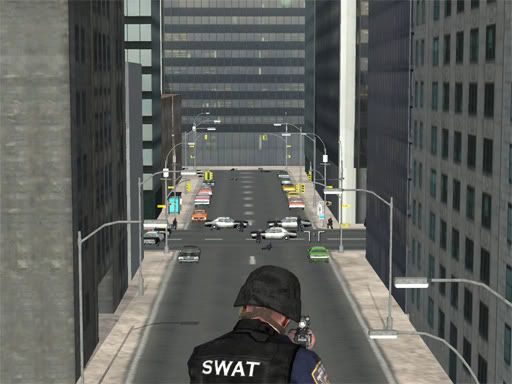 Swat1.jpg
