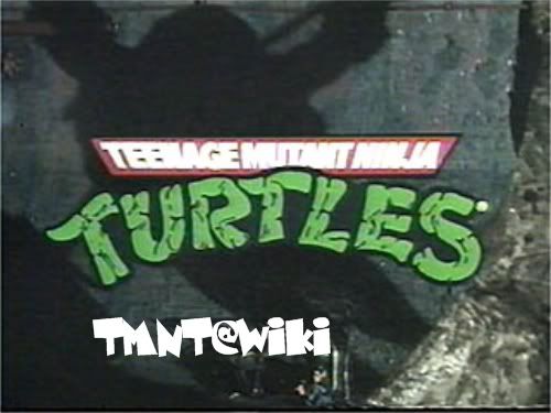 <img:http://i170.photobucket.com/albums/u250/karpmen01/TMNT.jpg>