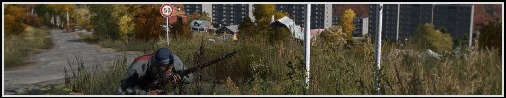 dayzdhtin_zps09cecf2e.jpg