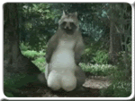 http://i170.photobucket.com/albums/u251/nut3434/thi125571186_89105.gif?t=1242060800