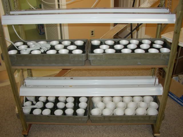 Grow Light - 3