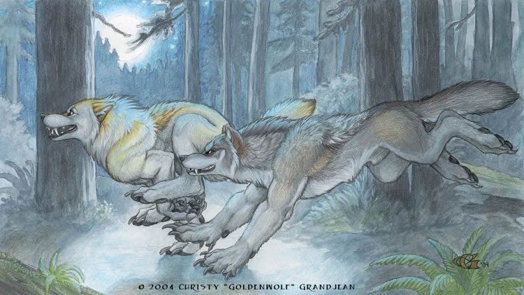 firstrun.jpg Wolfs image by Gothslovedark
