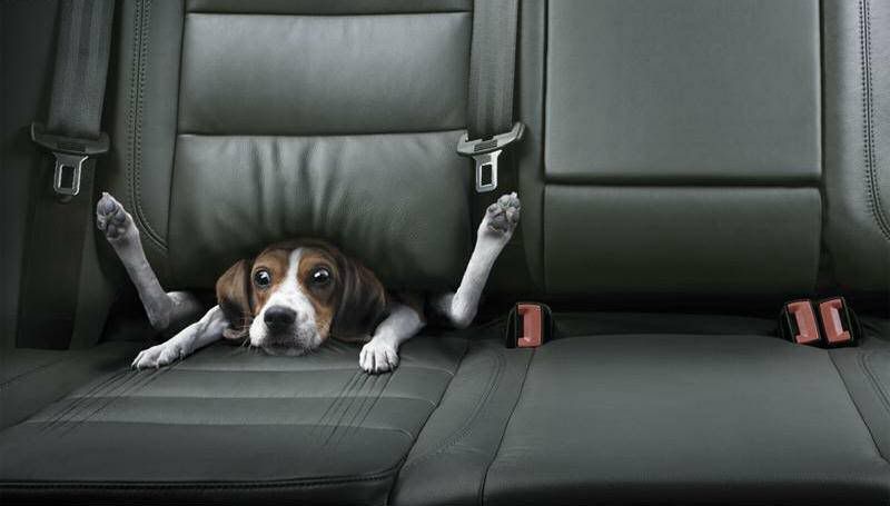 ThisisasignyouaredrivingtooFAST.jpg THIS IS A SIGN YOUR DRIVING TOO FAST image by FORSNOOPY