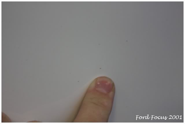 focus09.jpg
