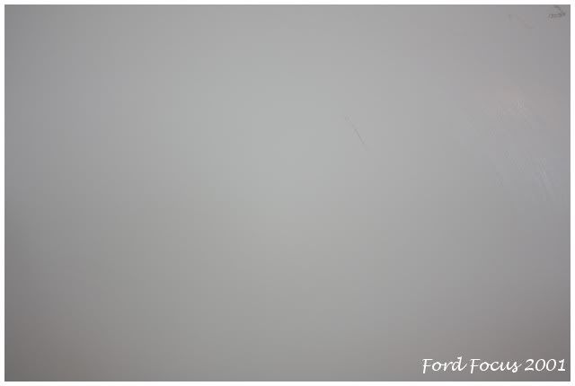 focus31.jpg