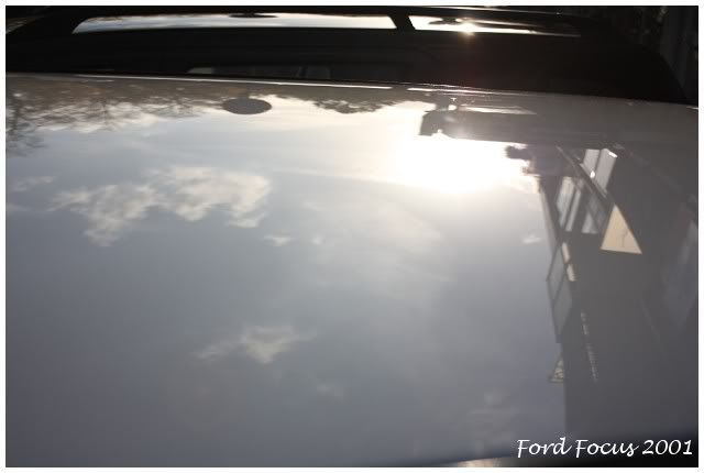 focus57.jpg