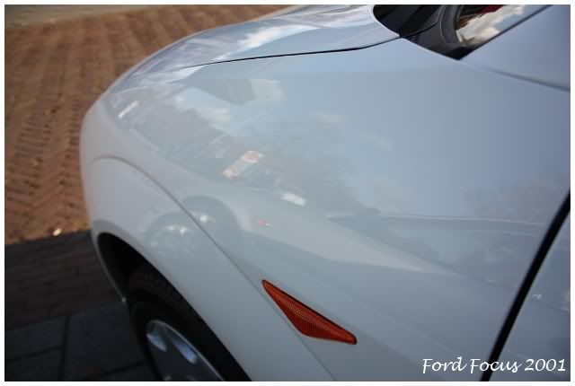 focus66.jpg