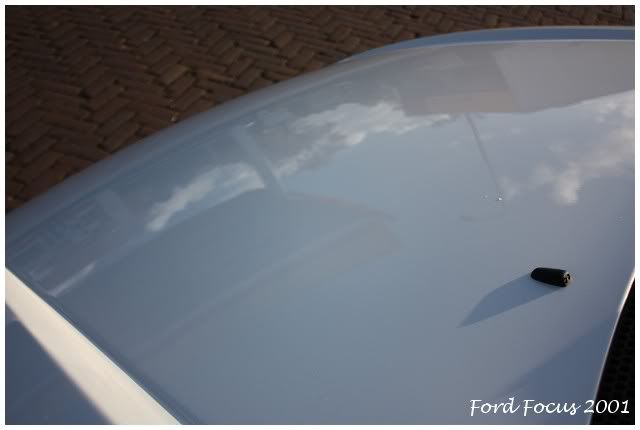 focus67.jpg