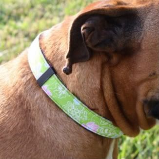 Summer Flowers Adjustable Dog Collar- You pick size!