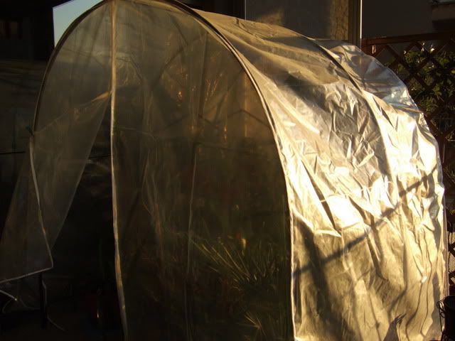DSCF2905.jpg