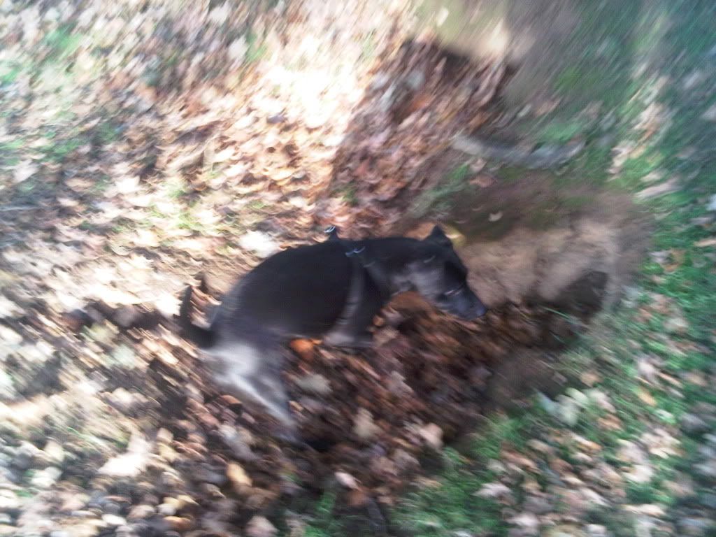 IMG00181-20101212-1220-1.jpg