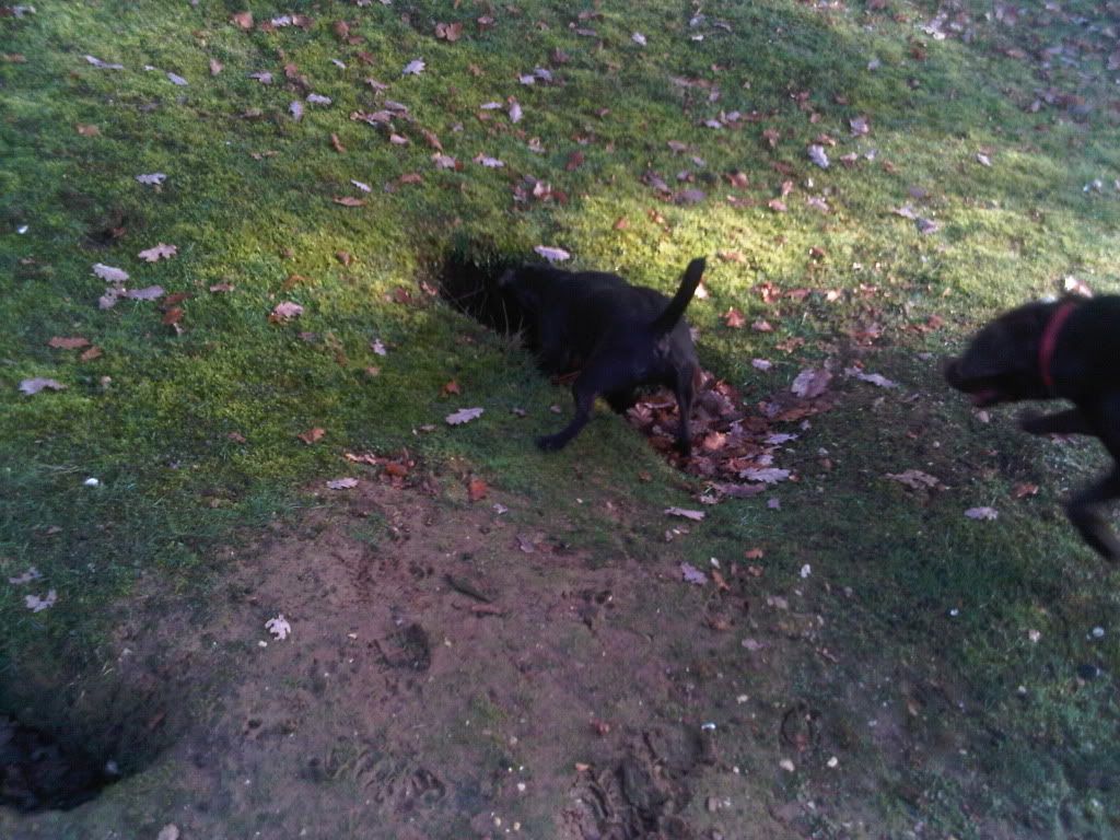 IMG00183-20101212-1223.jpg