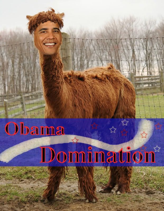 obama the llama