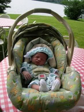 The first week at the yellow house