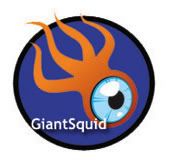 I'm a Giant Squid!
