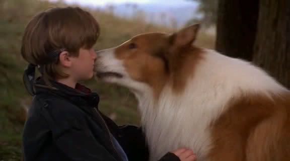 Lassie 1994