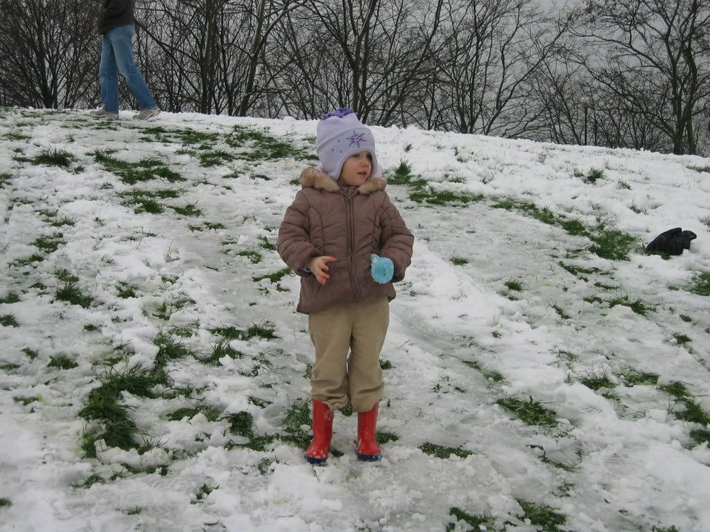127_2782.jpg