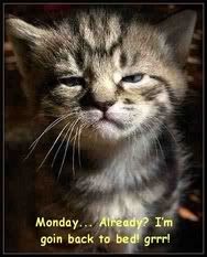 Monday!