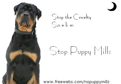 Stop Puppy Mills Pictures, Images and Photos