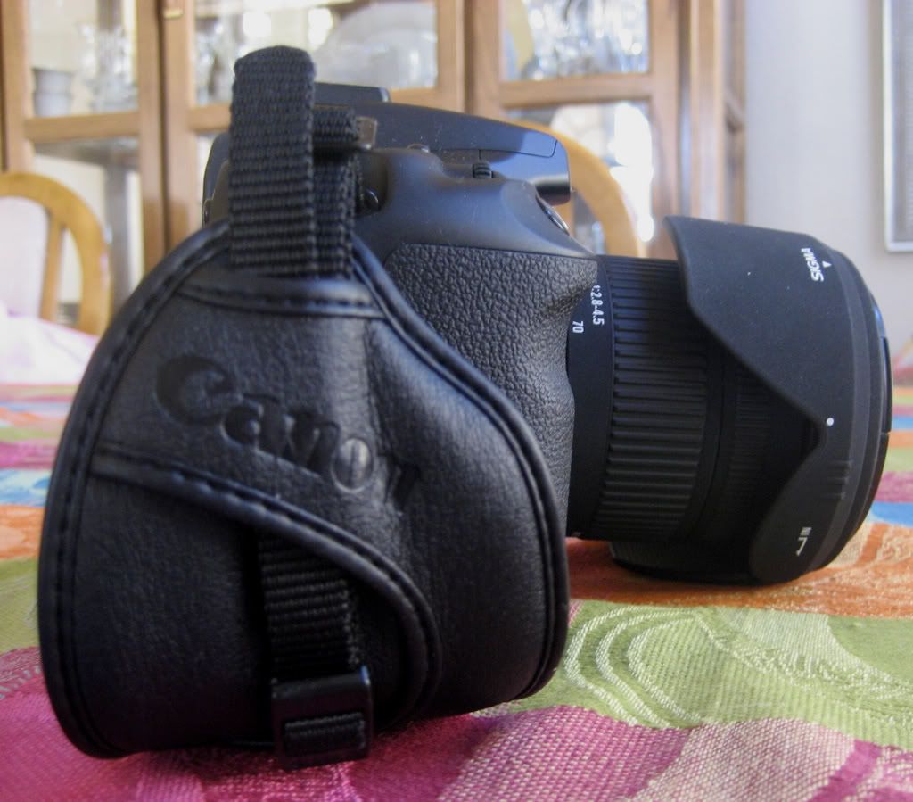 IMAGE: http://i170.photobucket.com/albums/u262/hibernian1/IMG_1230.jpg