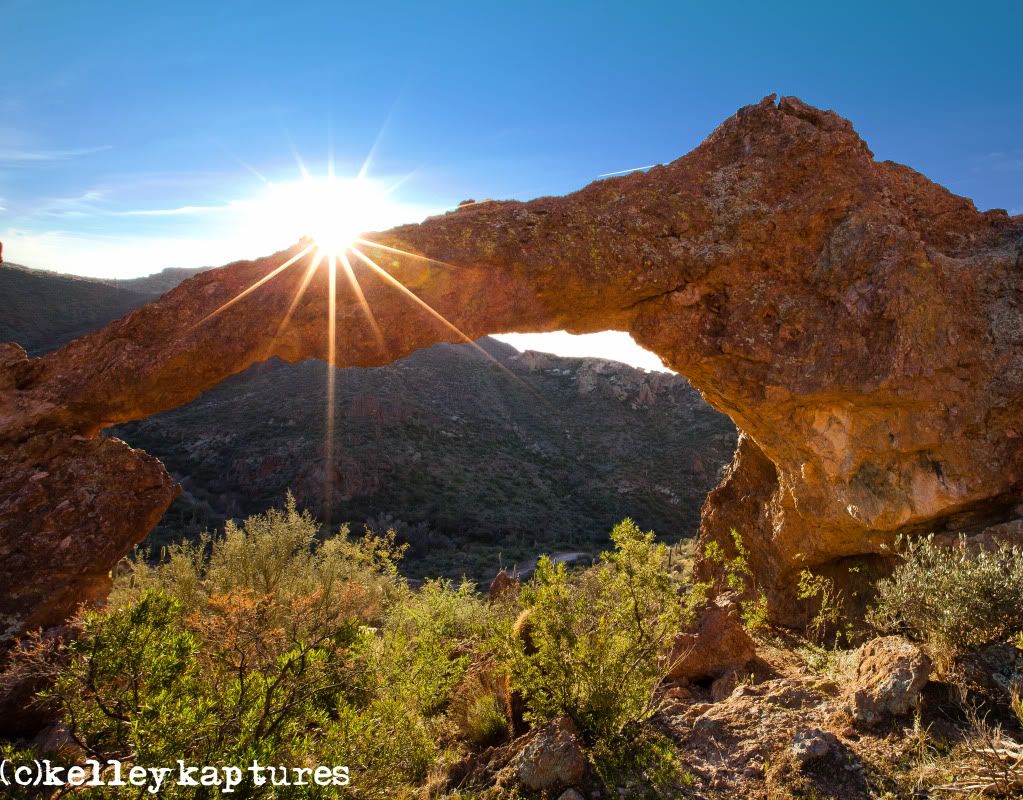 IMAGE: http://i170.photobucket.com/albums/u262/hibernian1/IMG_2606-Edit-Edit.jpg