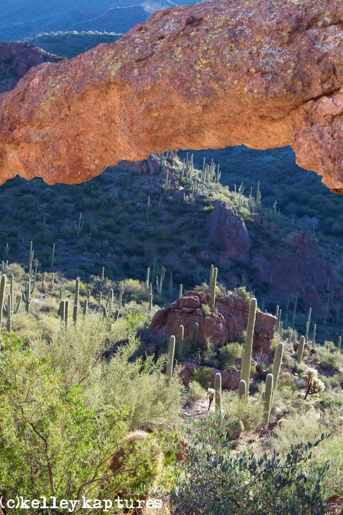 IMAGE: http://i170.photobucket.com/albums/u262/hibernian1/IMG_2615-Edit-Edit.jpg