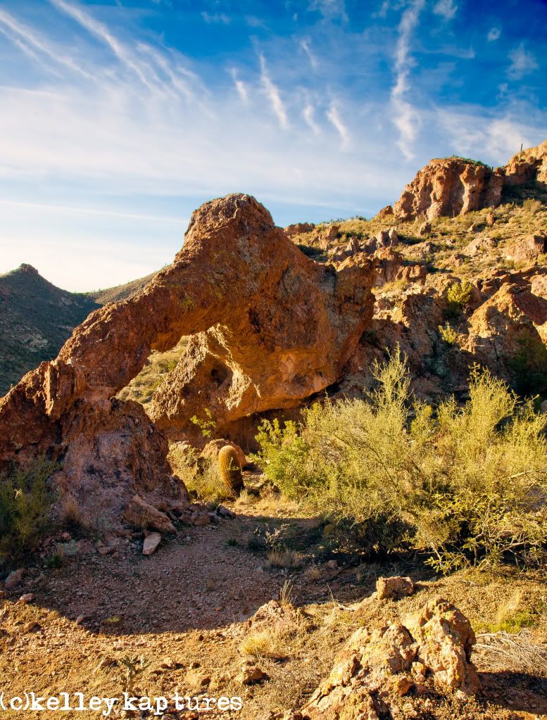 IMAGE: http://i170.photobucket.com/albums/u262/hibernian1/IMG_2624-Edit.jpg