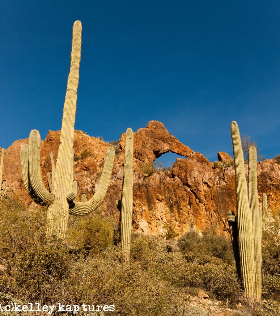 IMAGE: http://i170.photobucket.com/albums/u262/hibernian1/IMG_2629.jpg