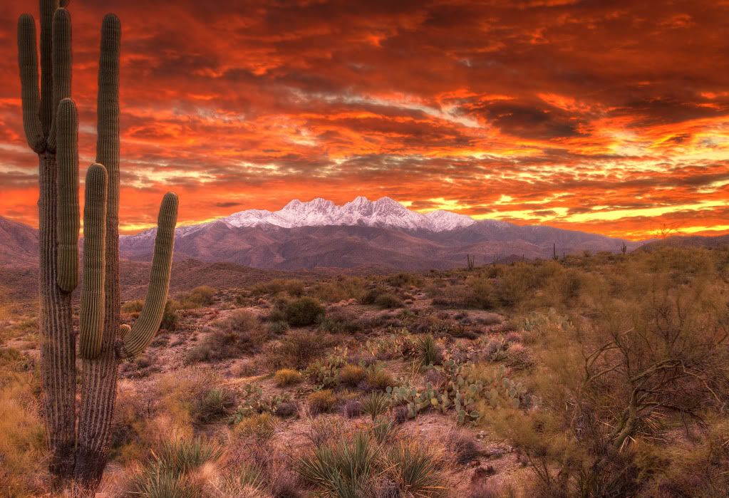 IMAGE: http://i170.photobucket.com/albums/u262/hibernian1/best4peaks.jpg