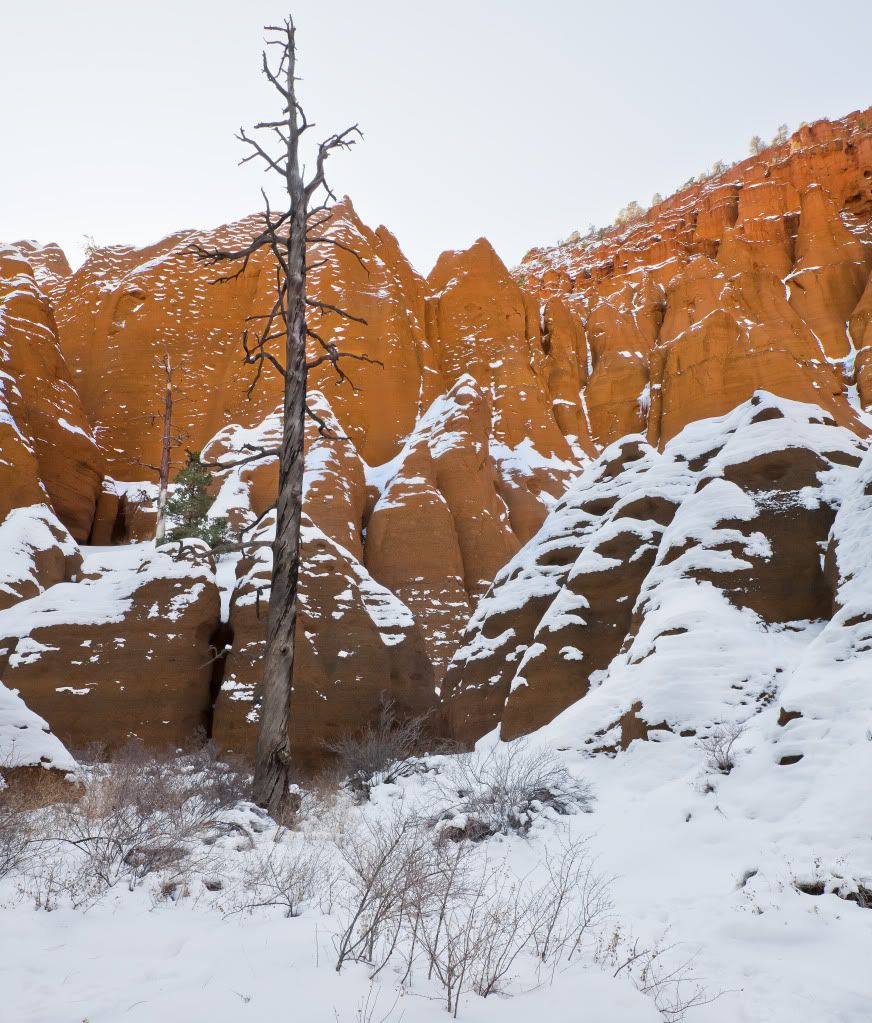 IMAGE: http://i170.photobucket.com/albums/u262/hibernian1/cold2.jpg