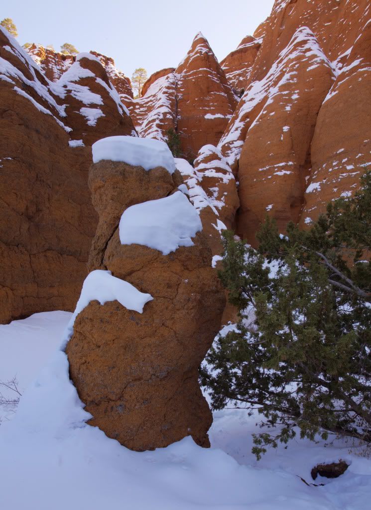 IMAGE: http://i170.photobucket.com/albums/u262/hibernian1/hdr1.jpg