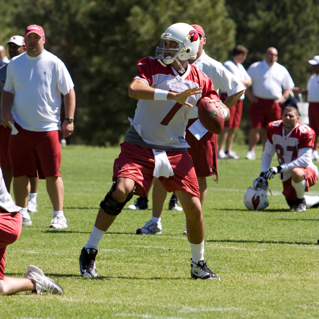 IMAGE: http://i170.photobucket.com/albums/u262/hibernian1/leinartsettothrow.jpg