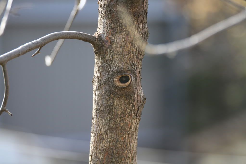 IMAGE: http://i170.photobucket.com/albums/u263/9058377799/IMG_3469.jpg