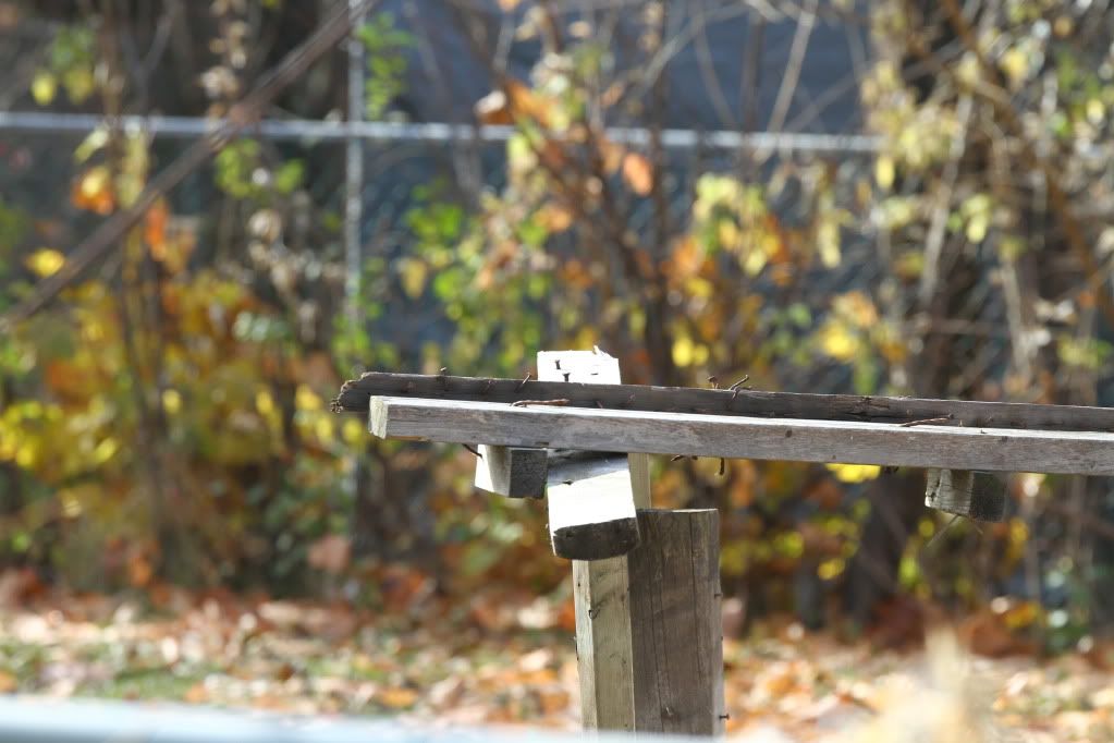 IMAGE: http://i170.photobucket.com/albums/u263/9058377799/IMG_3471.jpg